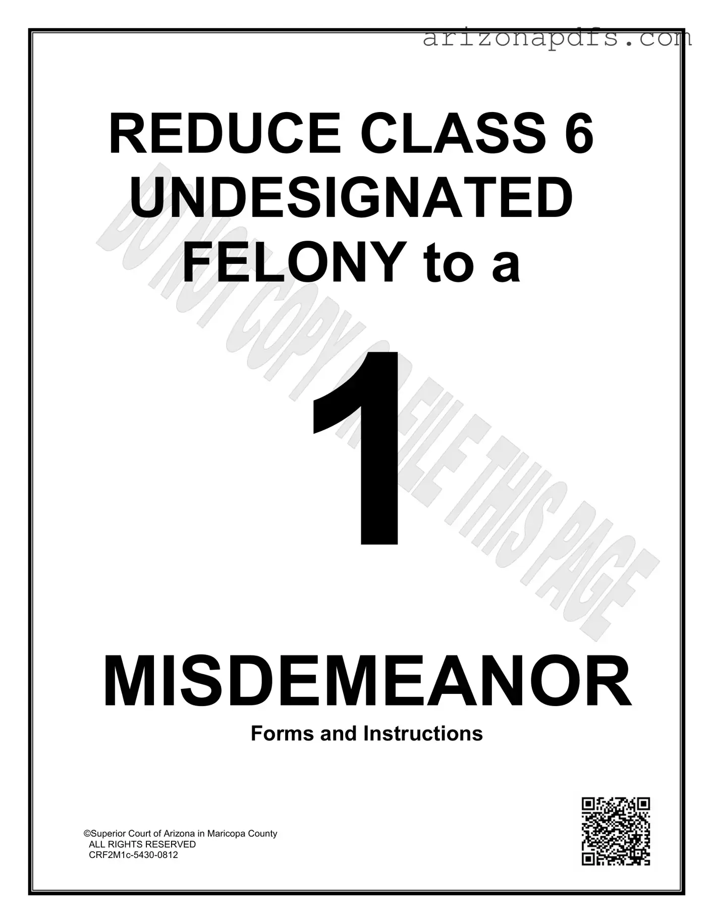 Blank Arizona Class 6 Undesignated Felony PDF Template
