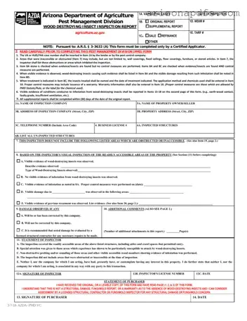 Blank Wdiir Arizona PDF Template